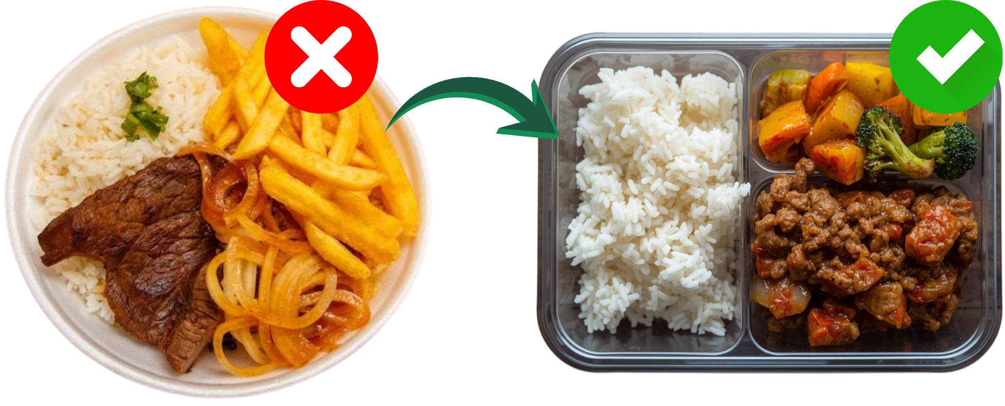 Excesso de calorias Excesso de gordura Alto custo (1)